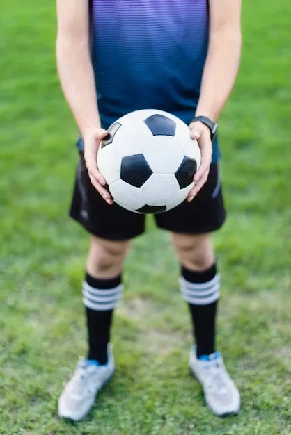 星空体育 官方应用界面